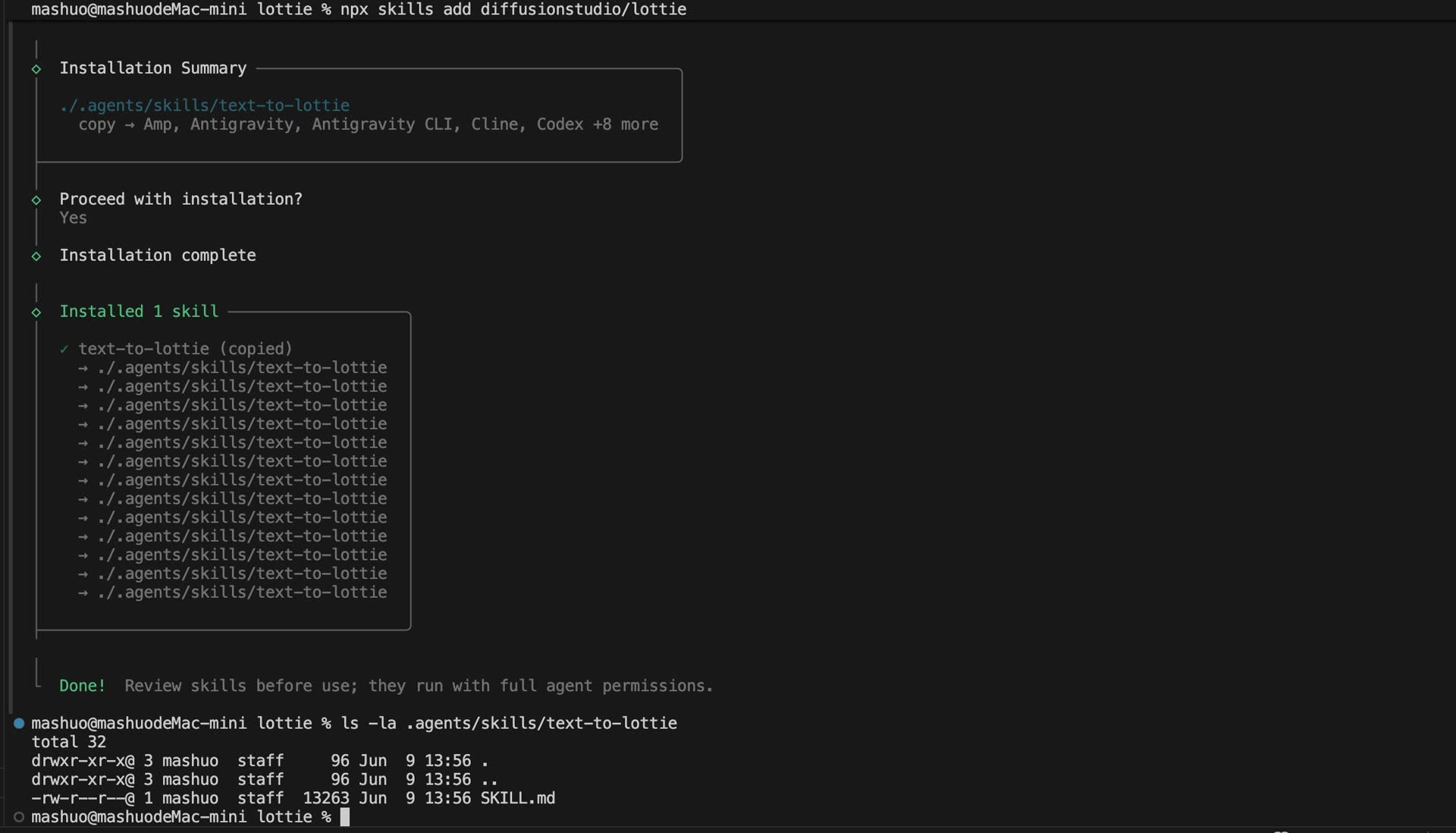 Confirm the skill installation path